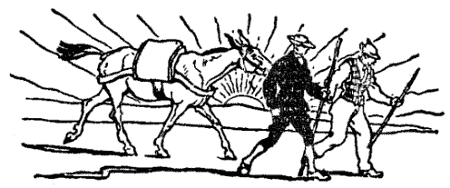 Illustration Illustration