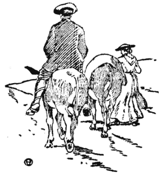 Illustration Illustration