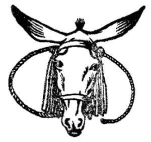 Illustration Illustration