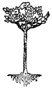 Illustration Illustration