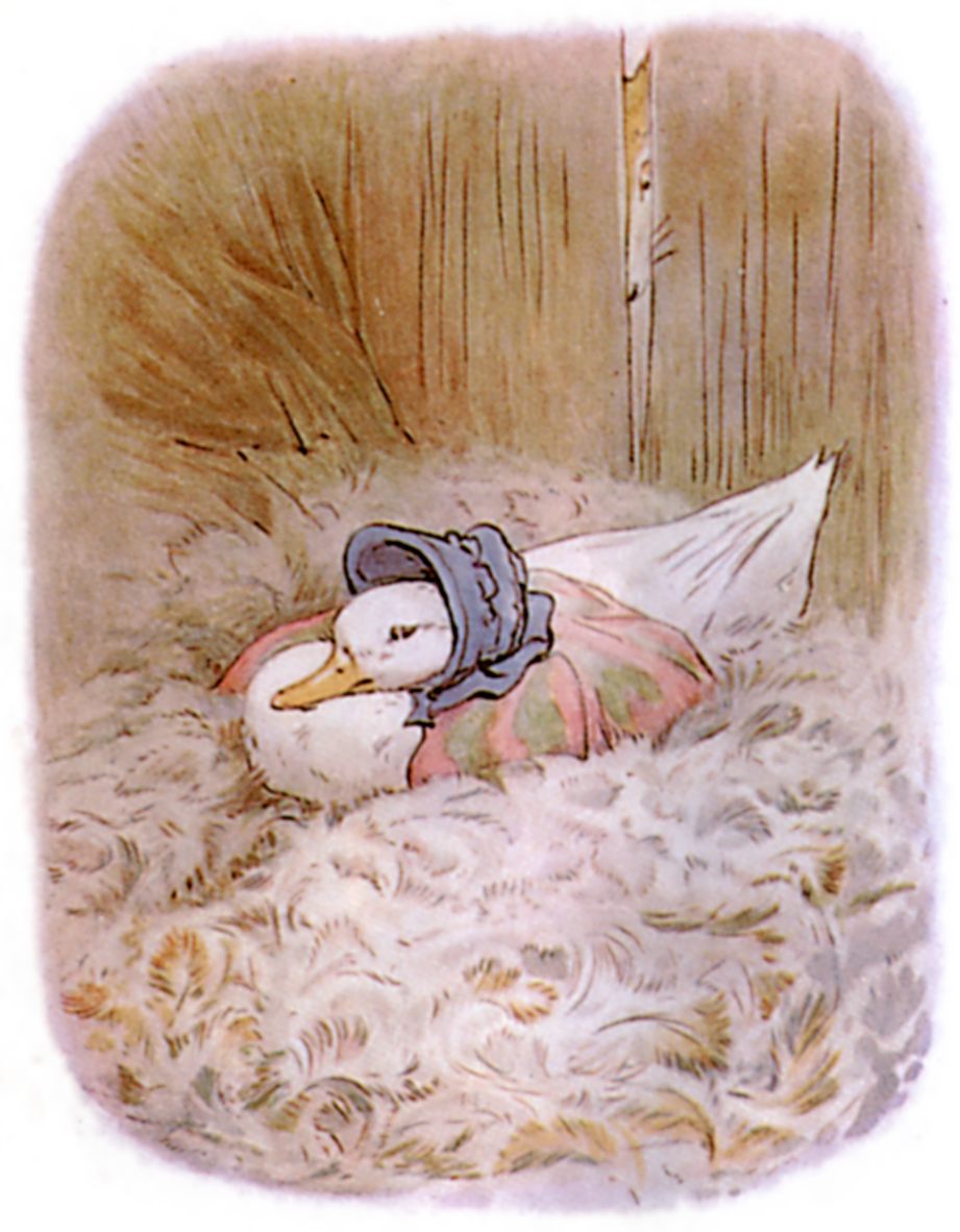 The Project Gutenberg eBook of The Tale of Jemima Puddle-Duck, by Beatrix  Potter