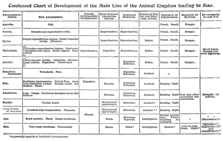 Chief Characteristics Of The Animal Phyla Chart