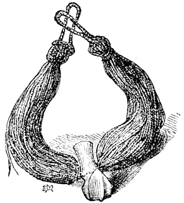 Illustration: War Necklace