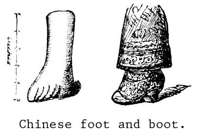 Illustration: Chinese Foot and boot