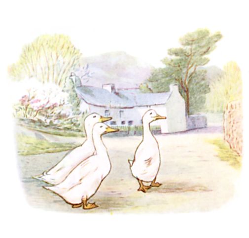 The Puddle-Ducks
