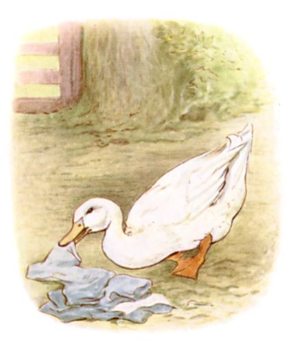 Mr. Drake Puddle-Duck advanced in a slow sideways manner, and picked up the various articles.
