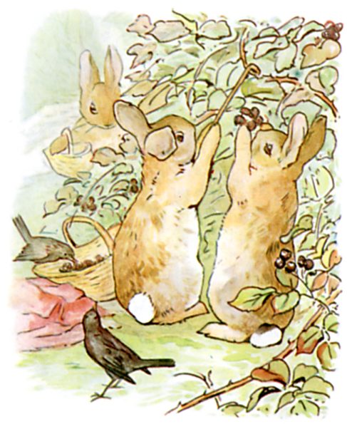 peter rabbit 1