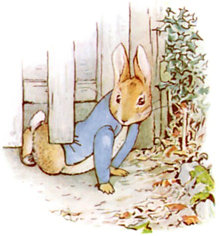 The Project Gutenberg EBook Of The Tale Of Peter Rabbit By Beatrix Potter