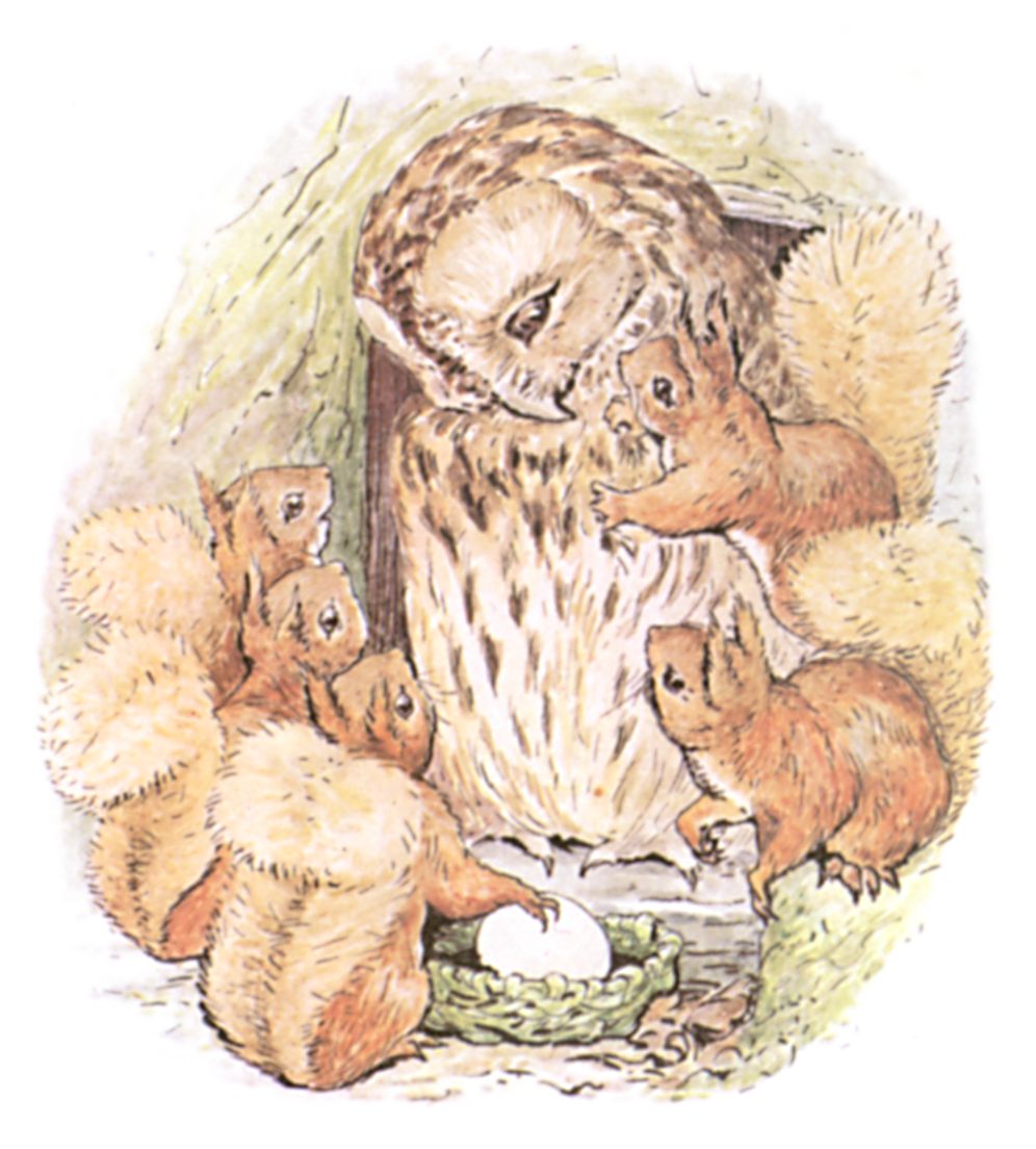 The Project Gutenberg eBook of The Tale Of Squirrel Nutkin, by Beatrix  Potter.