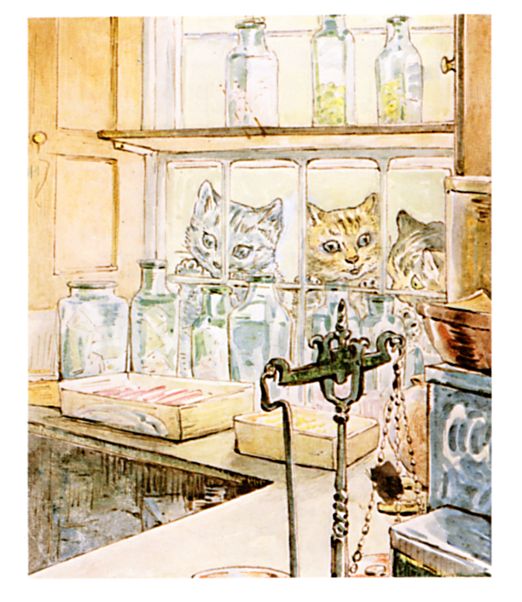 Cats looking in the window