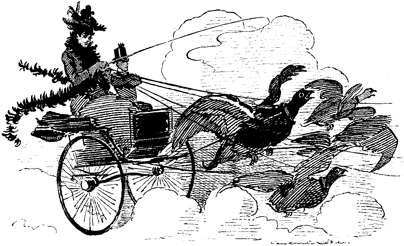 'GROUSE DRIVING.'