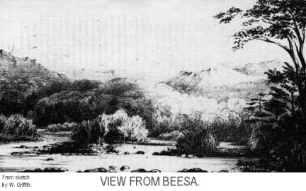 The view from Beesa