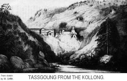 Tassgong from the Koollong