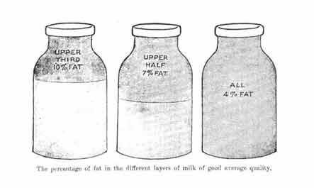 The percentage of fat in the different layers of milk.