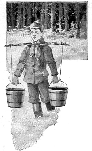 After each trip into the woods Roy would turn two
brimming pails of sap into the big kettle.