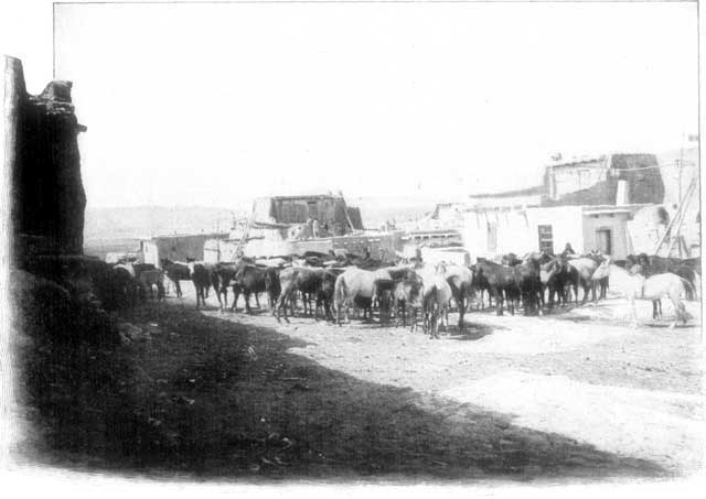 THE COURTYARD OF &Aacute;COMA.