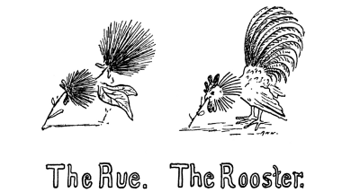 The Rue. The Rooster.