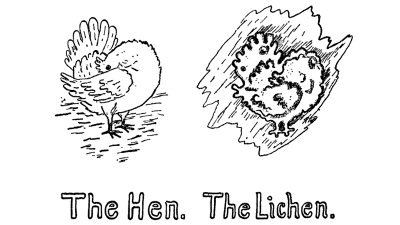 The Hen. The Lichen.