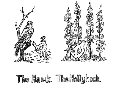 The Hawk. The Hollyhock.