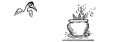 (tern looking at turnips in a pot)