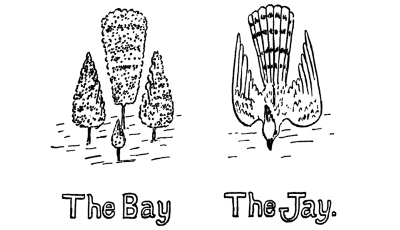 The Bay. The Jay.