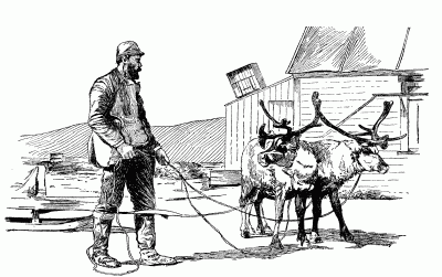 Reindeer Team Reindeer Team