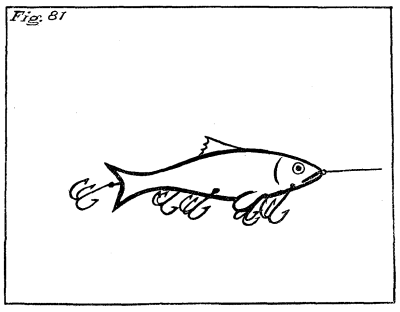 Figure 81: A minnow with several fish-hooks attached.