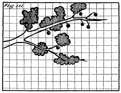 Figure 112: A branch of a plum tree with small fruit.