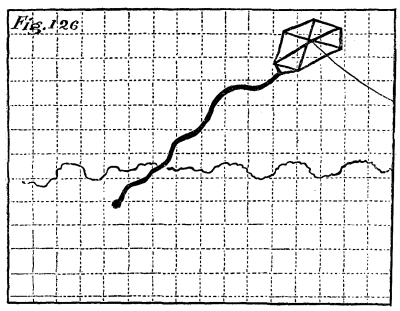 Figure 126: A kite.