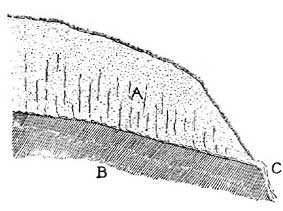 FIG. 38.—How springs are formed. A, porous layer; B, non-porous layer; C, spring.