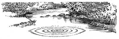 FIG. 90.—Waves formed by a pebble.