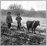 FIG. 94.—Crude method of farming.
