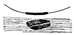 FIG. 210.—A wire carrying current attracts iron
filings.