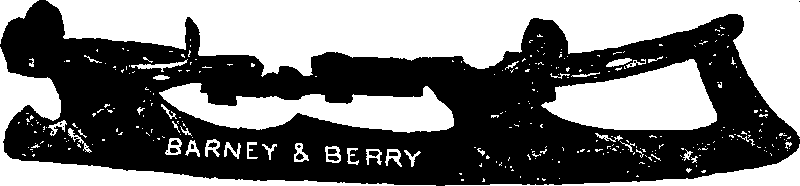 Barney & Berry ice skate