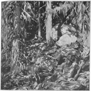 Plate 21.—Sargent. "The Hermit."
In the Metropolitan Museum of Art.