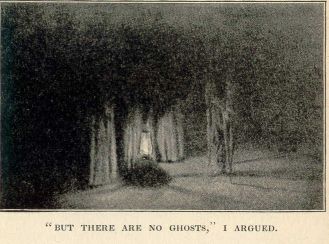 "But there are no ghosts," I argued.