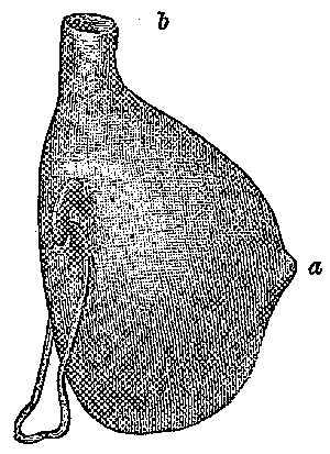 Fig. 549