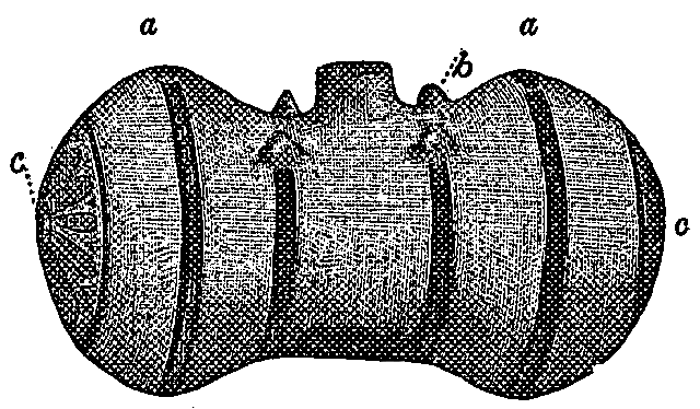 Fig. 550
