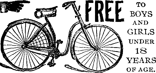 Free Bicycle
