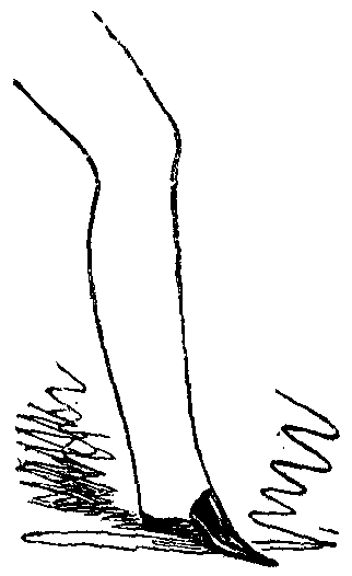 A leg wearing a Wellington boot