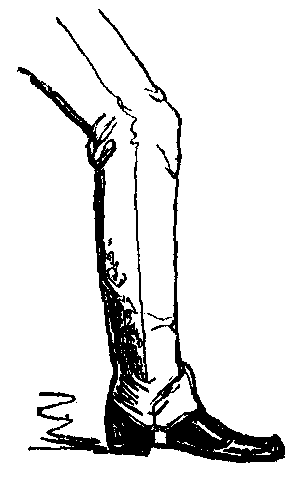 A leg wearing a Blucher