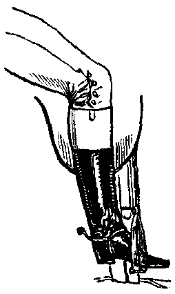 A booted leg in a stirrup with spurs