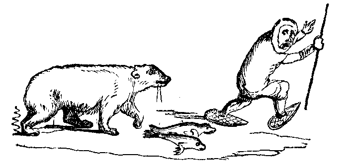 An Eskimo runs from a polar bear. There are seals lying on the ground.