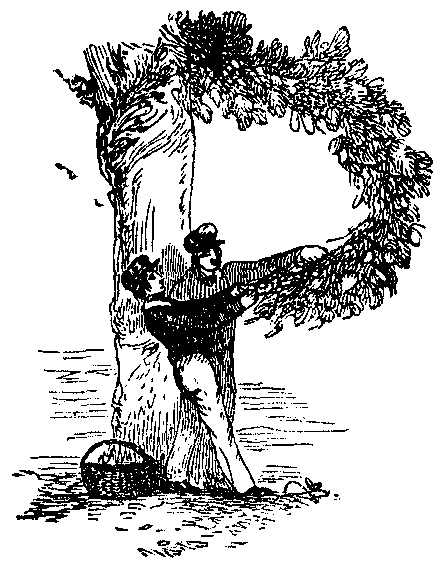 Two men pull on a tree branch and form a letter P