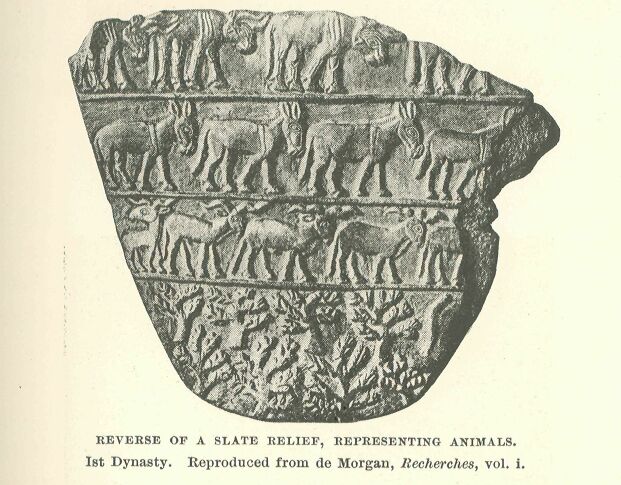 053.jpg Reverse of a Slate Relief, Representing Animals. 