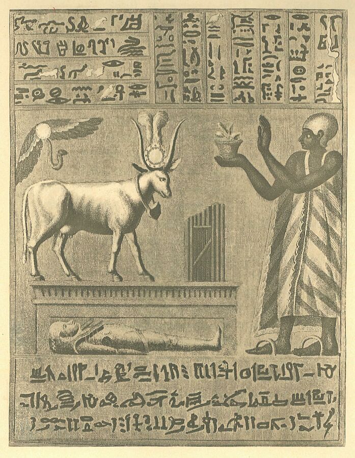 318.jpg Egyptian Manuscript 