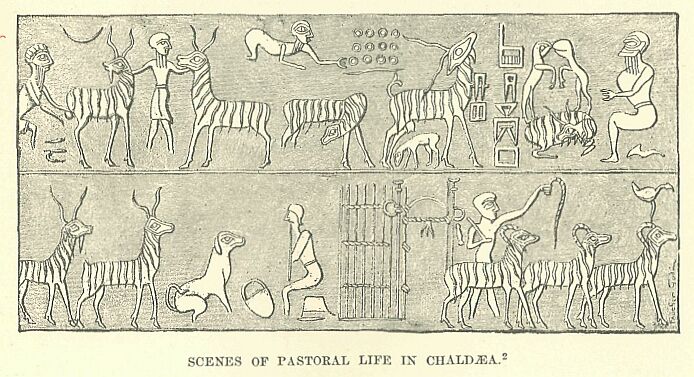 329b.jpg Scenes of Pastoral Life in ChaldÆa. 