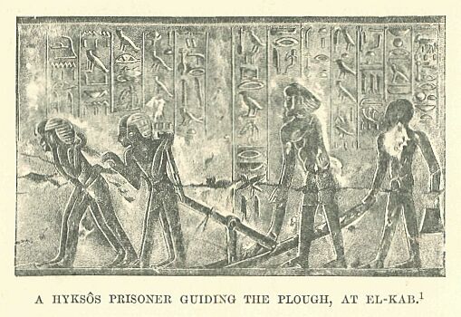 080.jpg a HyksÔs Prisoner Guiding the Plough, at El-kab 