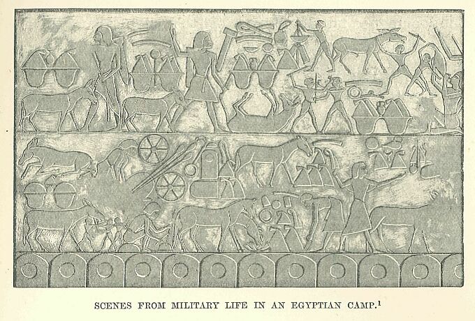 325.jpg Scenes from Military Life in an Egyptian Camp 