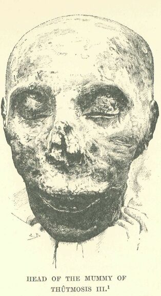 041.jpg Head of the Mummy Of ThÛtmosis III. 